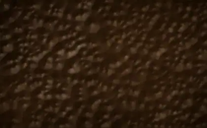 Full grain cowhide swatch