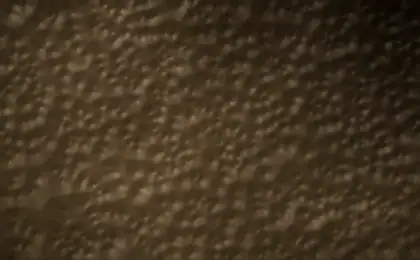 Vegetable tanned swatch